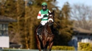 【スプリングS展望】素質馬シックスペンスの無傷3連勝を期待