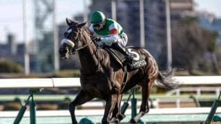 【スプリングS出走馬・騎手確定】シックスペンス＆C.ルメール騎手、ウォーターリヒト＆幸英明騎手など10頭