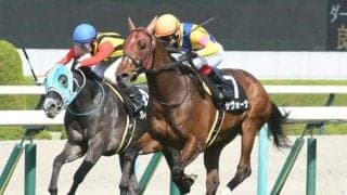 【阪神大賞典出走馬・騎手確定】サヴォーナ＆池添謙一騎手、ブローザホーン＆菅原明良騎手など15頭