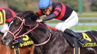 矢作厩舎の“4億円ホース” 若葉Sで皐月賞の権利獲り狙う