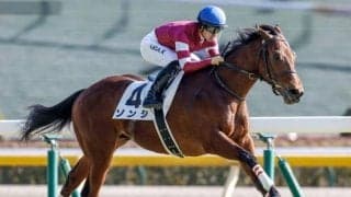 【ファルコンS出走馬・騎手確定】ソンシ＆川田将雅騎手、ロジリオン＆三浦皇成騎手など17頭