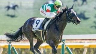 【フラワーC出走馬・騎手確定】カニキュル＆戸崎圭太騎手、カンティアーモ＆C.ルメール騎手など12頭