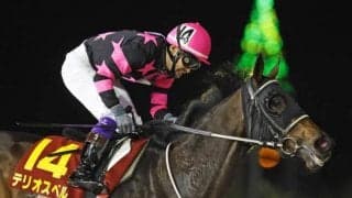 ダート中長距離重賞で活躍のテリオスベルが抹消 今後は北海道で繁殖馬に