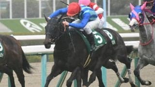京都牝馬S覇者ララクリスティーヌが競走馬登録抹消 ヒダカファームで繁殖入り