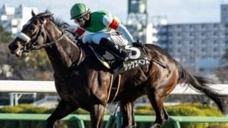 母は重賞5勝の一流馬 クラシックへ期待の一頭がスプリングSで重賞初制覇狙う