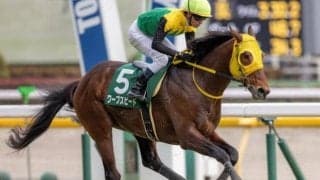 川田騎手が阪神大賞典初勝利なるか ドレフォン産駒のステイヤーと初タッグだ