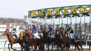 門別競馬場で今年最初の2歳能力検査 153頭が合格しデビューへの第一歩踏み出す