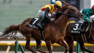 父レイデオロに初タイトル届けるか スプリングSに2連勝中の素質馬参戦