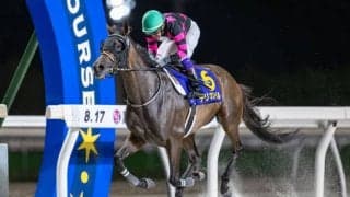 交流重賞で活躍、テリオスベルの競走馬登録抹消