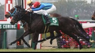 ララクリスティーヌの競走馬登録抹消