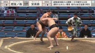 強烈な立ち合いで相手力士が戦意喪失「強すぎて笑う」「無敵」初土俵から無敗のイケメン力士にファン驚愕
