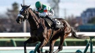 【スプリングS枠順確定】シックスペンスは4枠4番、ジュンゴールドは1枠1番