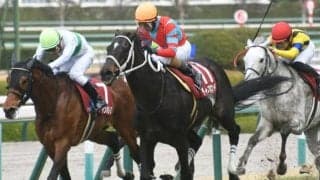 【阪神大賞典枠順確定】ディープボンドは7枠12番、テーオーロイヤルは4枠6番