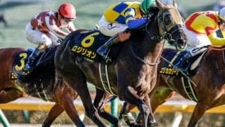 【ファルコンS枠順確定】ロジリオンは1枠1番、シュトラウスは3枠5番