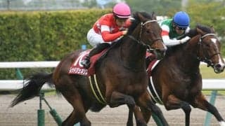 京都新聞杯覇者レッドジェネシスが競走馬登録抹消 今後は広島県で乗馬に