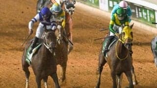 ウシュバテソーロが世界3位タイ ロンジンワールドベストレースホースランキングが発表