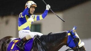 ホッコータルマエ初年度産駒の一頭 レディバグが抹消・繁殖入り