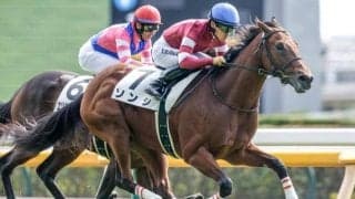 【ファルコンS予想】波乱の要因は距離と馬場!? 血統から好走に黄色信号が灯る人気馬とは