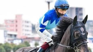 「大魔神」佐々木主浩オーナーが所有 “ヴィブロスの仔”が土曜中京7Rで2勝目狙う