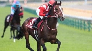 中京芝は内枠ベター ファルコンSは絶好枠のオーキッドロマンスが粘り込む