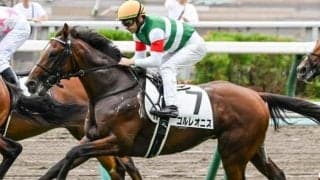 名牝ハープスターの半弟 「5戦目の正直」で初勝利なるか