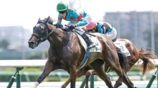 【フラワーC予想】近況好調馬に良績が集中！ 前走4着以下でもレース格によっては注意が必要