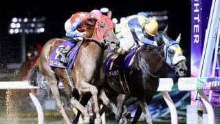 レディバグが競走馬登録抹消…繁殖入り