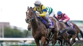 【大阪杯想定馬・騎手】ソールオリエンス、タスティエーラなど19頭