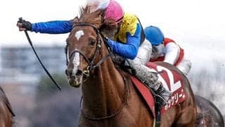 【日経賞想定馬・騎手】ボッケリーニ、リカンカブールなど11頭