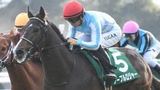 【毎日杯想定馬・騎手】ノーブルロジャー、ニュージーズなど9頭
