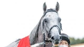 ガイアフォースが左第2中手骨を骨折 3カ月以上の休養要する見込み