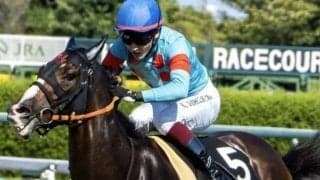 評価急上昇中のスワーヴリチャードに続け 同馬の全妹が淡路特別で連勝狙う