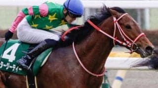 不完全燃焼続くミスタージーティー 若葉Sで巻き返し期す