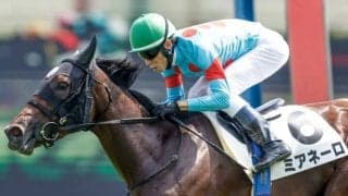 【フラワーC予想】春の牝馬クラシックにつながる一戦も 秋に飛躍する馬を探したいレース