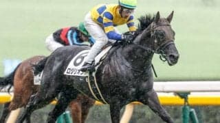 【ファルコンS予想】瞬発力やスピード必須 本命は初中京も上積み期待の一頭