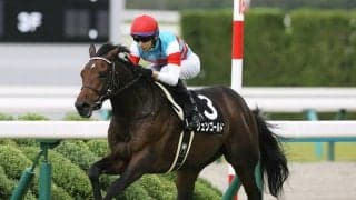 スプリングＳで好配当をもたらす２頭　波乱続きのトライアル戦は馬券的な妙味を重視すべし