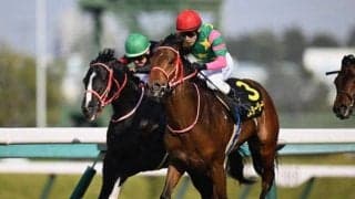 【若葉S結果】ミスタージーティーが人気に応えてV 皐月賞切符獲得