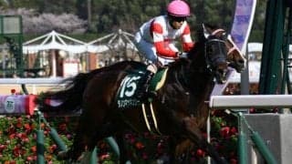 【ファルコンS結果】7番人気ダノンマッキンリーが差し切り重賞初制覇