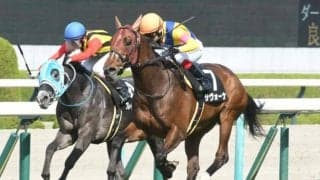 【阪神大賞典予想】前走の馬体重は要チェック!? コーナーリングも問われる内回り3000m戦