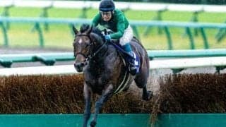 昨年の中山GJ覇者 スピカSで1年5カ月ぶりの平地参戦