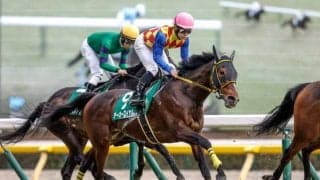 【阪神大賞典前日オッズ】テーオーロイヤルが3.4倍で1番人気