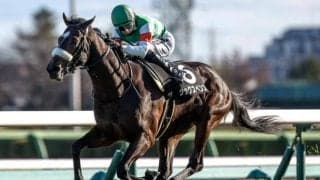 【スプリングS前日オッズ】シックスペンスが3.0倍で1番人気