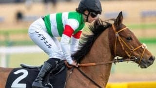 母は重賞3勝ディアデラノビア ディオスバリエンテがスピカSできょうだい6頭目のオープン入り狙う