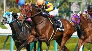 阪神芝はキズナ産駒が絶好調 阪神大賞典はサヴォーナで勝負