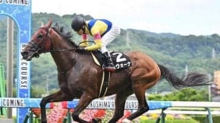 【AI予想・阪神大賞典】馬場次第では波乱の可能性も!? 人工知能は近走の充実ぶりが光る実力馬に高評価