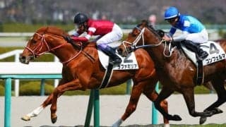 【阪神5R】武豊騎乗、ラファミリアがデビュー勝ち…内から差し返す