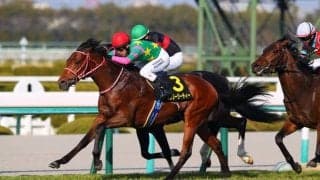 【若葉S】ミスタージーティーが抜け出す…武豊オルトパラディウムは除外