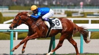 【阪神6R】武豊騎乗、トーラスシャインがデビュー2連勝