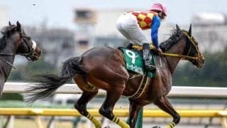 【今日の注目ポイント】天皇賞(春)の前哨戦・阪神大賞典と中山で皐月賞TRスプリングS