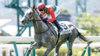 【スプリングS予想】器用さと立ち回りの上手さがカギ 上がり3ハロン最速馬の成績良く